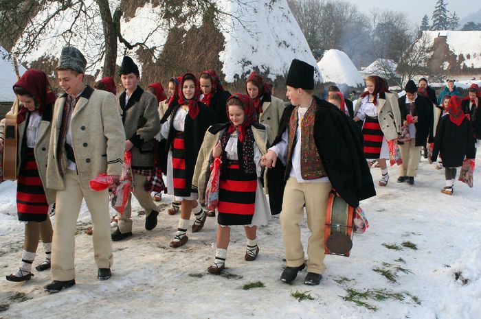 ne-am arăduit cu colindu - 2-1  Regionalisme din MM