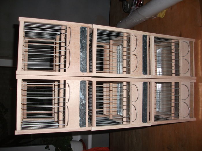 Picture 045 - colivii concurs roleri