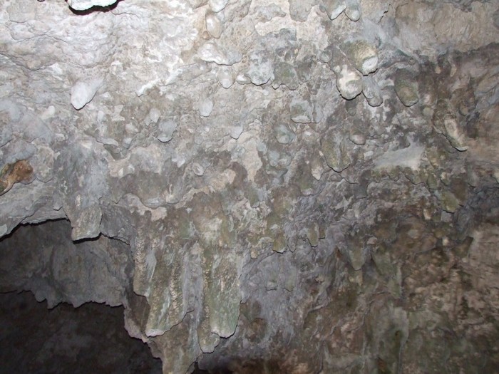 Voineasa2234 - 2007 08 Cheile Dambovicioarei1