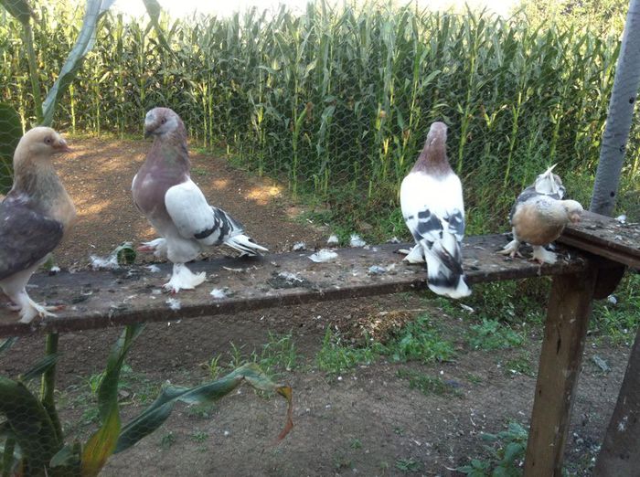 10325692_10202497581384557_2641025211847521239_n