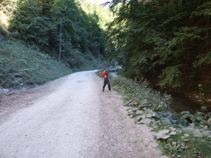 Voineasa2291 - 2007 08 Cheile Dambovicioarei1