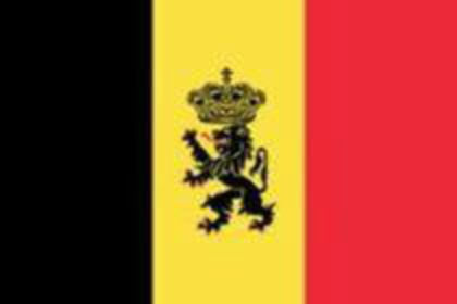 .Belgia - BELGIA
