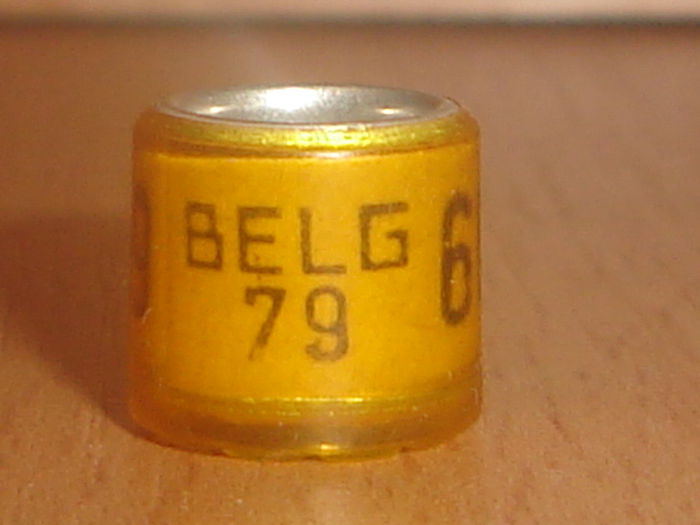 Belg 1979