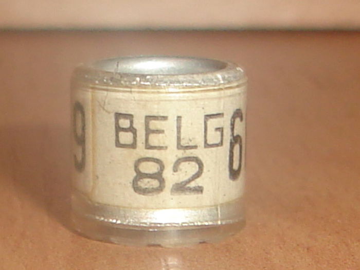 Belg 1982 - BELGIA