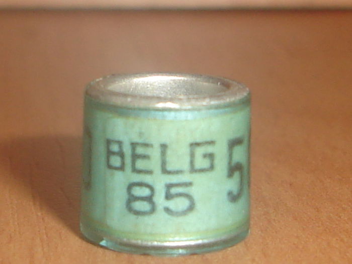 Belg 1985 - BELGIA