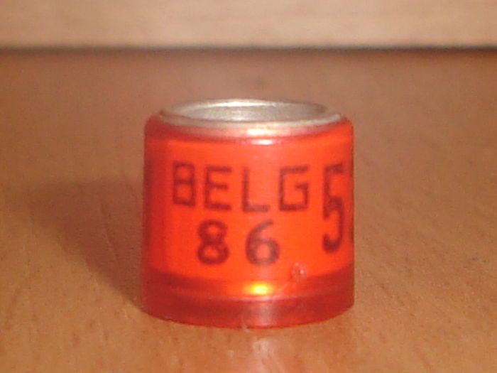 Belg 1986 - BELGIA