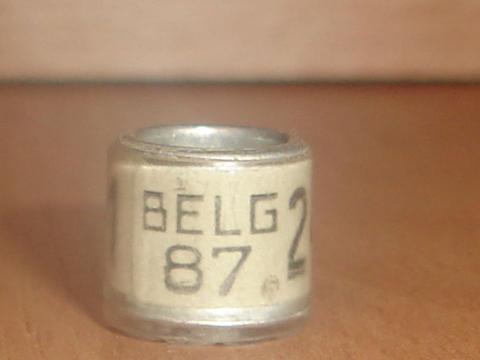 Belg 1987 - BELGIA