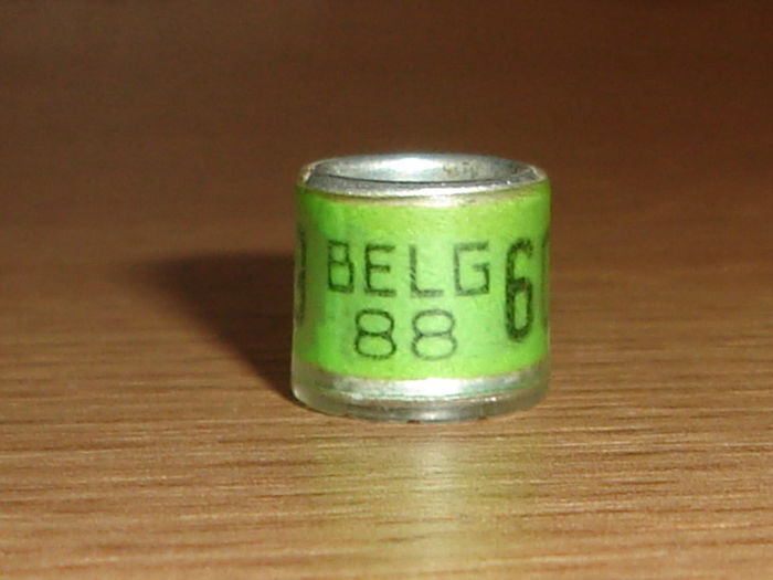 Belg 1988 - BELGIA