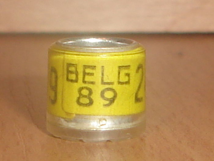 Belg 1989