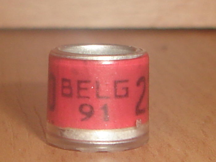 Belg 1991 - BELGIA