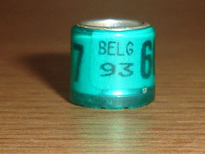 Belg 1993 - BELGIA