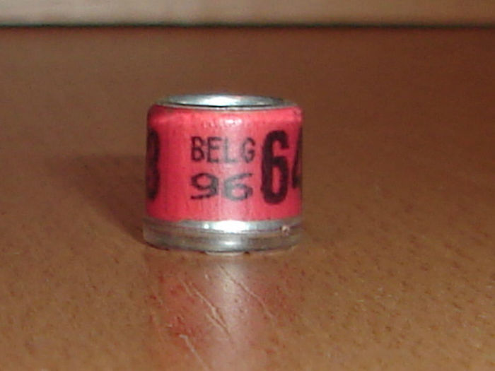 Belg 1996 - BELGIA