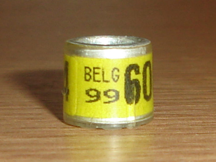 Belg 1999 - BELGIA