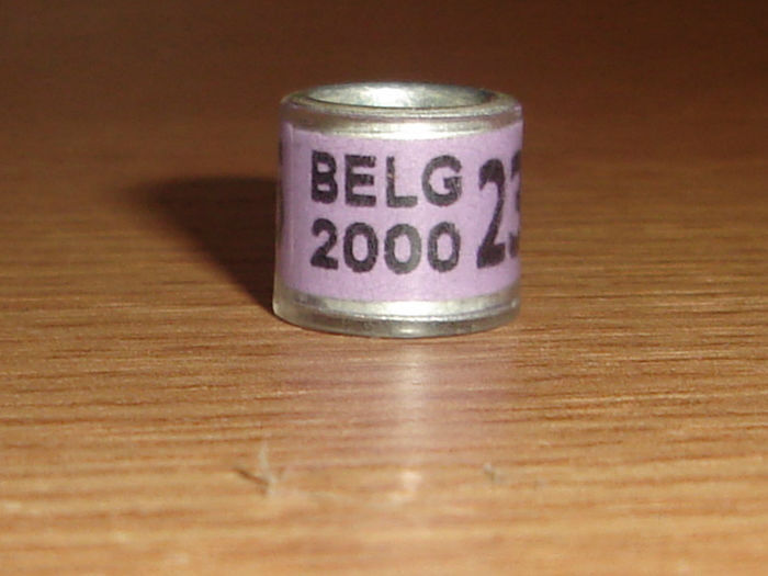 Belg 2000 - BELGIA