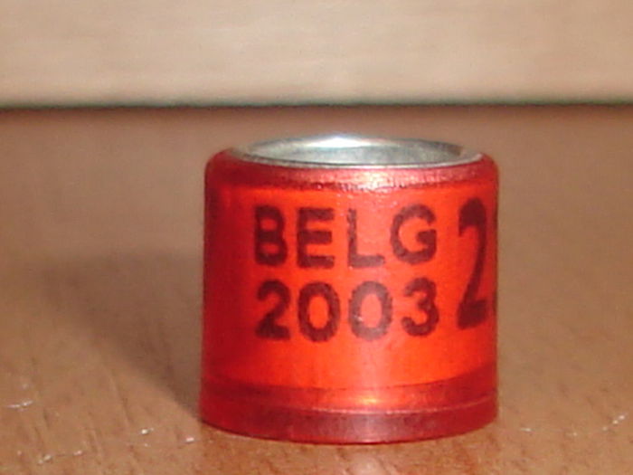 Belg 2003 - BELGIA