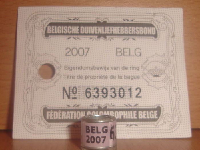 Belg 2007