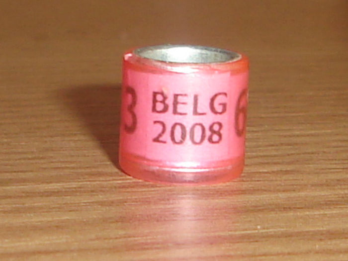 Belg 2008 - BELGIA