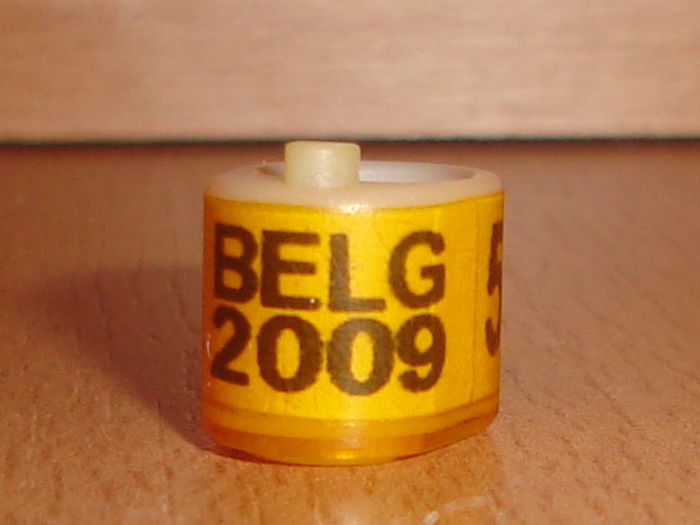 Belg 2009 - BELGIA