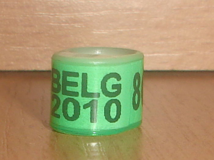 Belg 2010