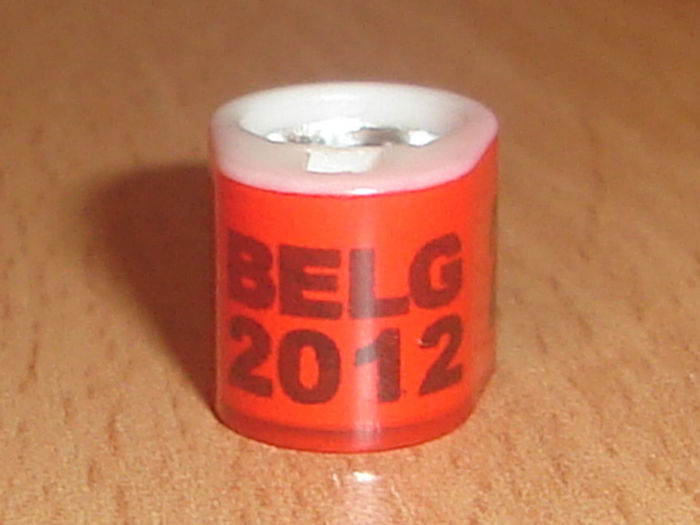 Belg 2012 - BELGIA
