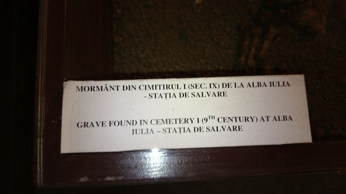 DSC_0245 - A-5---alba iulia