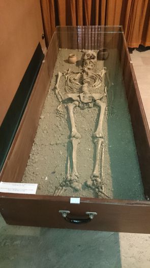 DSC_0246 - A-5---alba iulia