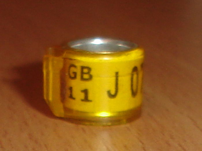 GB 2011 J