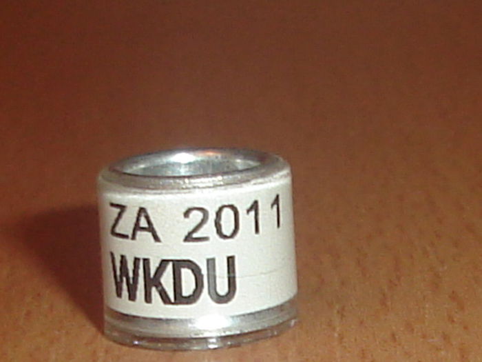 ZA 2011 WKDU - AFRICA DE SUD