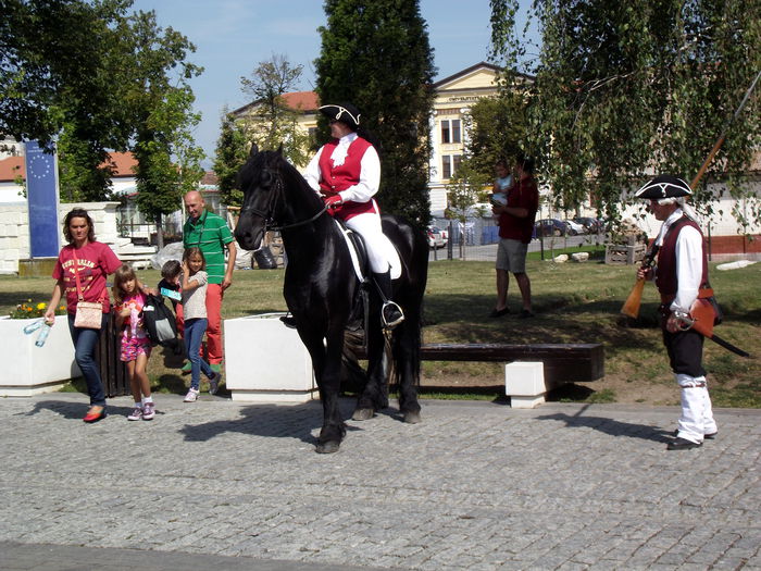 DSCF9992 - A-5---alba iulia