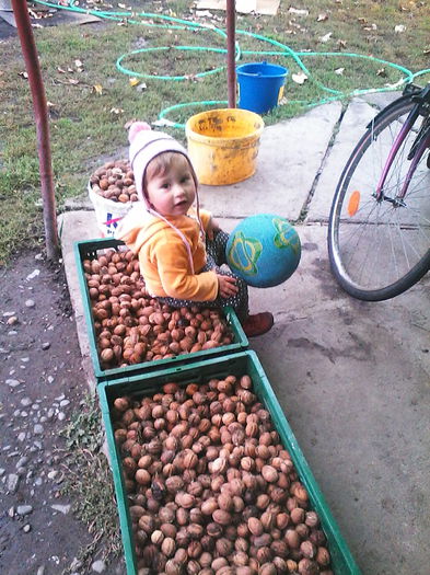 Am adunat nucile - Familia mea si prietenii