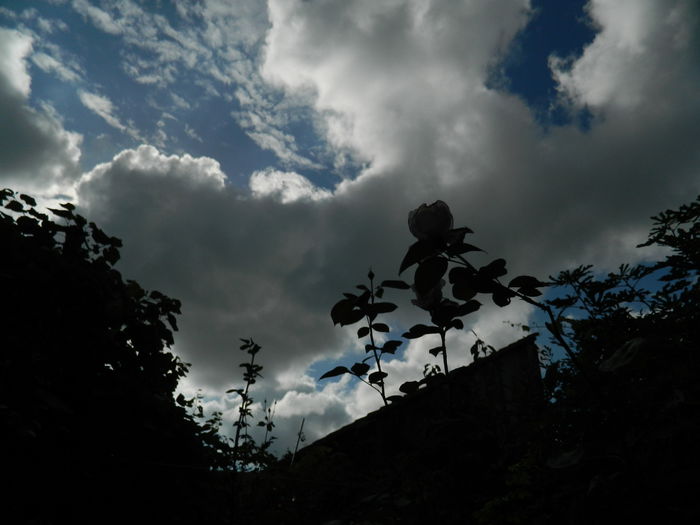 DSCN9599