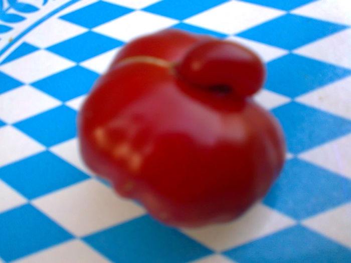 Fotografie2560