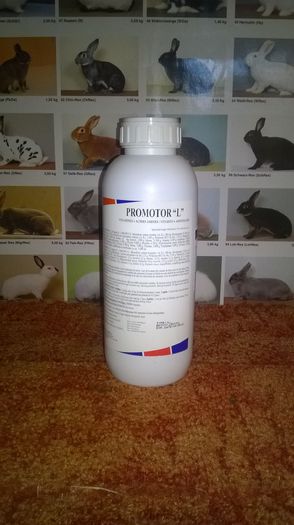 Vitamine Promotor L - Medicamente si accesorii pentru iepuri