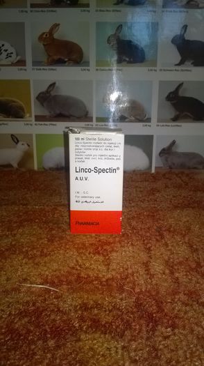 Linco-Spectin - Medicamente si accesorii pentru iepuri