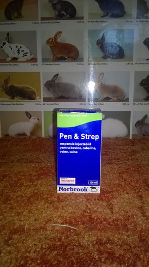 Penstrep - Medicamente si accesorii pentru iepuri