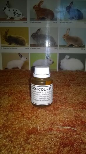 Coccicol-Plus