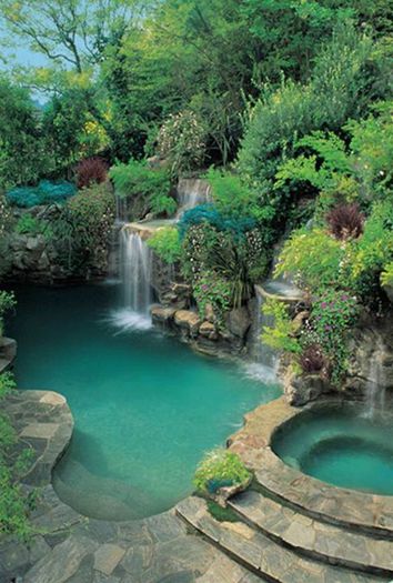 10675733_508399679263498_8606691588768239124_n - Piscine in jungla