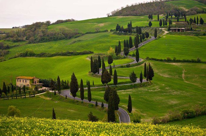 10568960_481582308611902_3323043836522519525_n - Toscana Italia