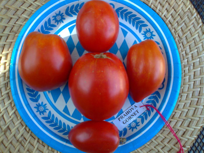 Fotografie2879 - TOMATE FOTO ALBUM 6