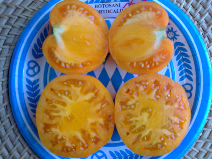 Fotografie2890 - TOMATE FOTO ALBUM 6