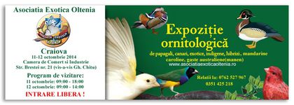 11-12 OCTOMBRIE 2014