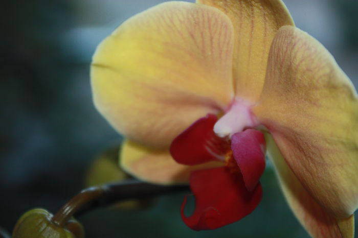 IMG_3557 - 2014 septembrie