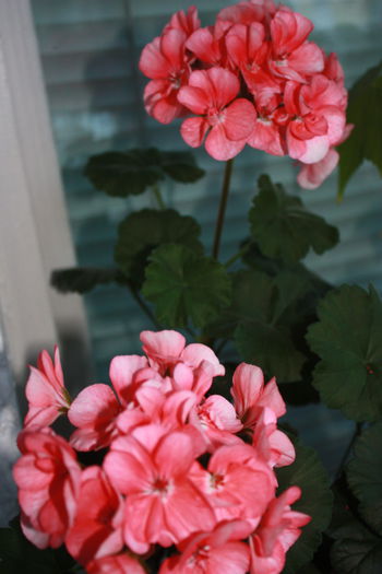 IMG_3564 - 2014 septembrie