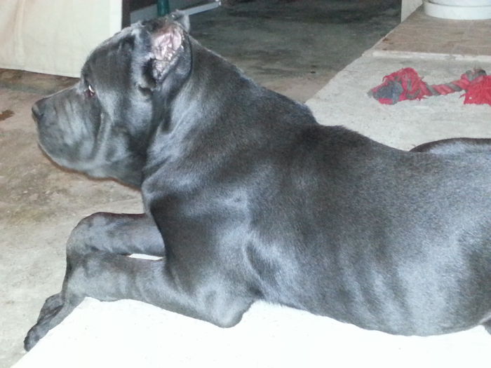 la 5 luni; la 5 luni
