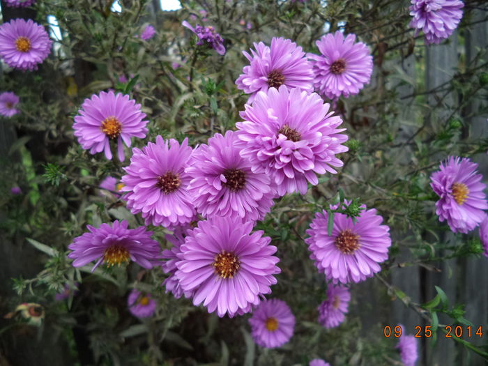 DSC01439