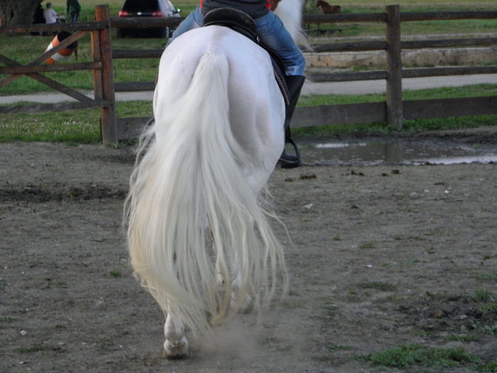 P8260337