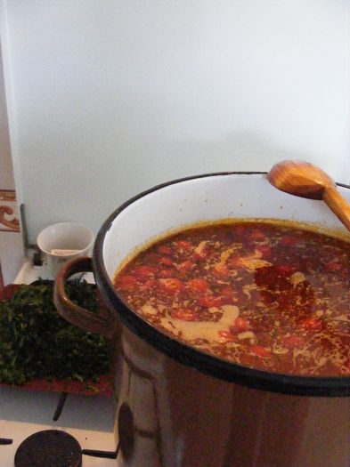 ciorba de pui