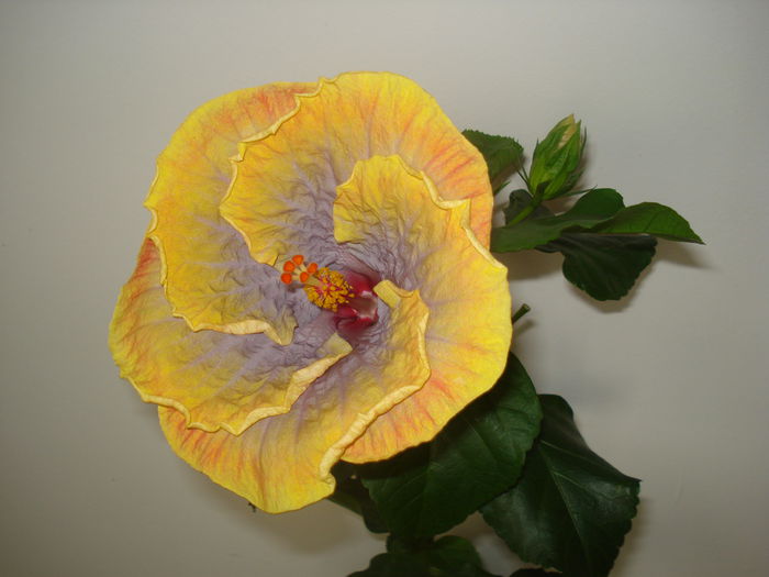 DSC09770