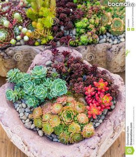 17258639_10 - idei interesante culese de pe net A