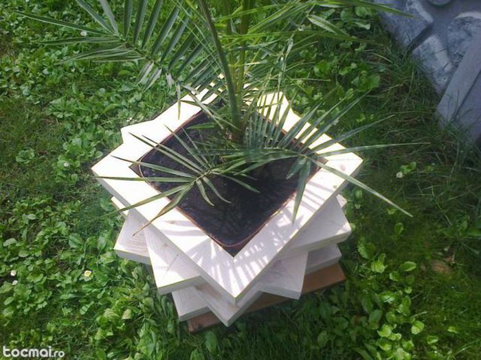 18451457_7 - idei interesante culese de pe net A